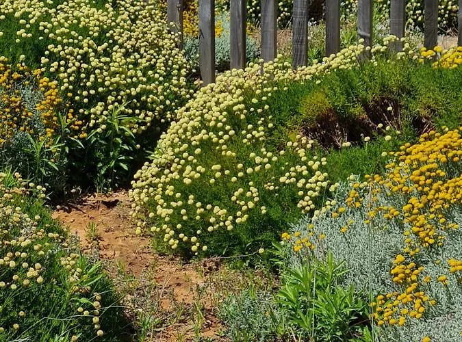 Victoria شقة فيلامورا