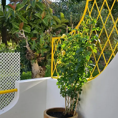 Victoria Appartement