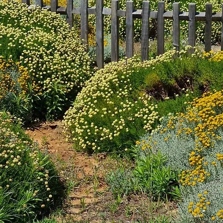 Victoria Daire Vilamoura